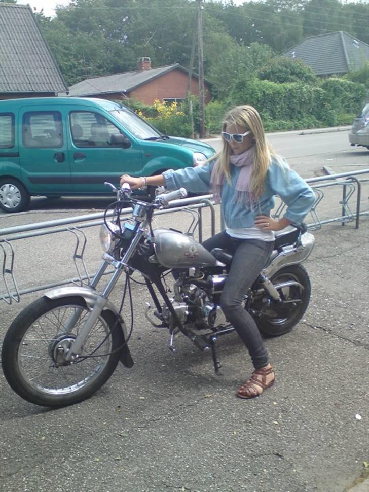 Regal raptor billede 7