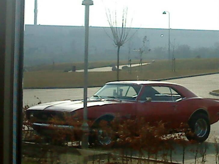 Puch Imola 1985 - Byttet - min kollega´s chervolet camaro ss billede 2