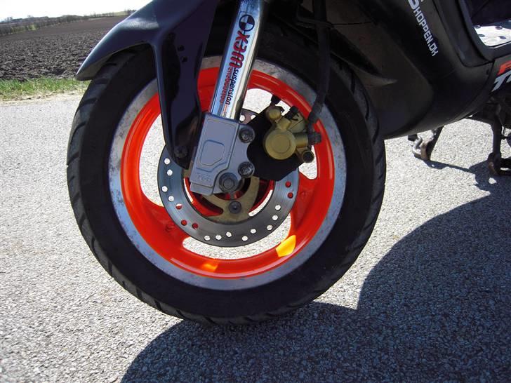 TGB Pegasus 303r Hawk til salg billede 7