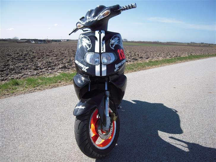 TGB Pegasus 303r Hawk til salg billede 8