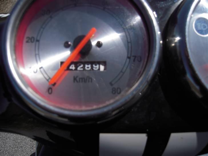 TGB Pegasus 303r Hawk til salg billede 10