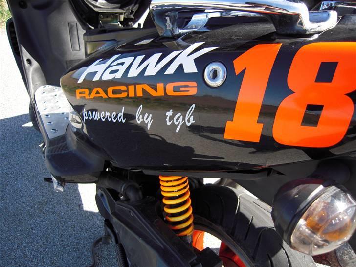 TGB Pegasus 303r Hawk til salg billede 11