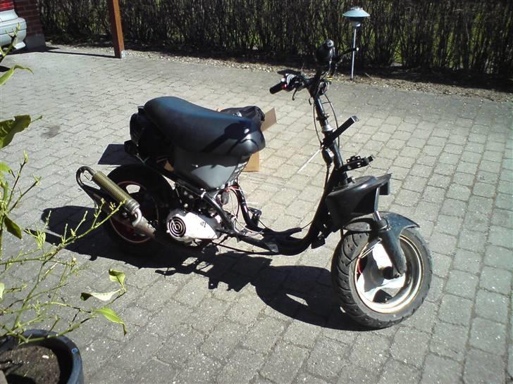 PGO hot / easy rider billede 6
