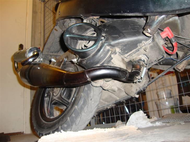 PGO black magic/Chamæleon billede 7