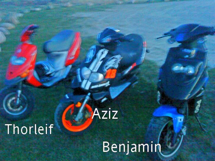 TGB Pegasus Til bytte- Sælge  billede 2