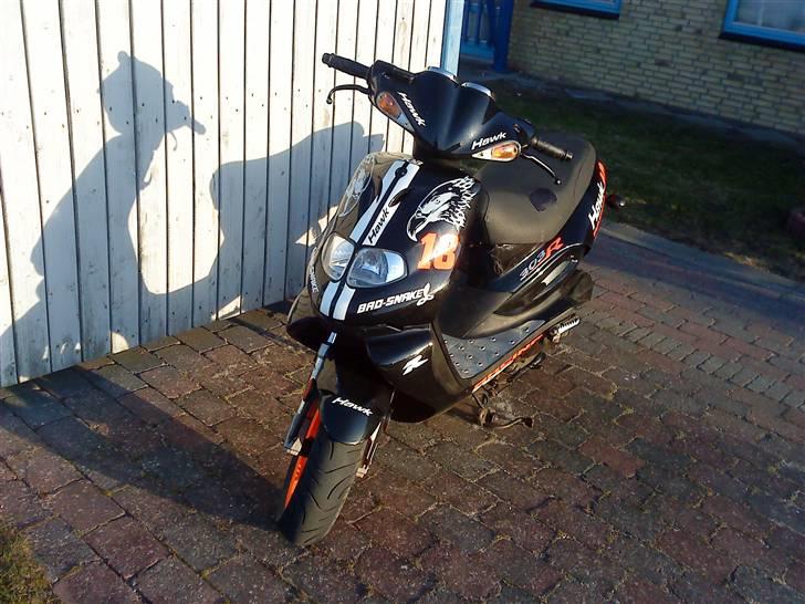 TGB Pegasus Til bytte- Sælge  billede 4