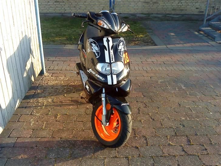 TGB Pegasus Til bytte- Sælge  billede 5