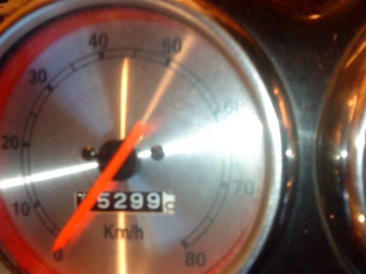 TGB Pegasus Til bytte- Sælge  billede 7