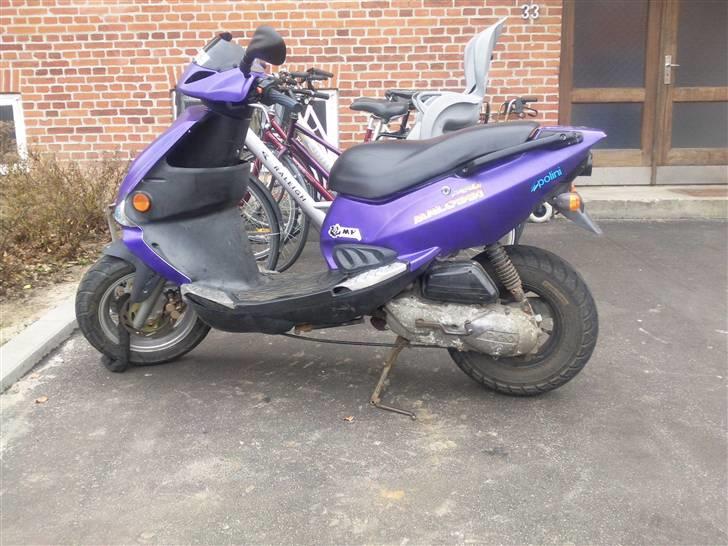 PGO dr big byttet til g-max billede 11