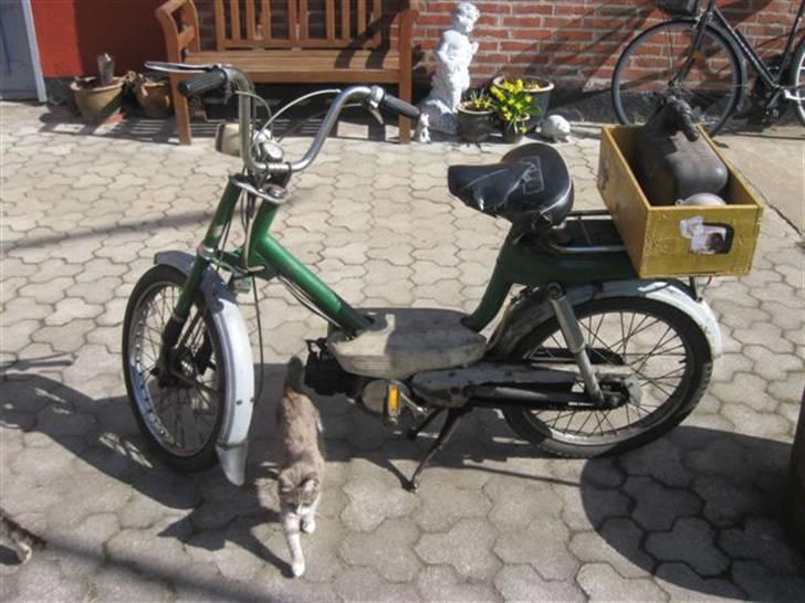 Honda Amigo CO2 neutral - For satan da Pelle, skal du absolut stjæle min knallerts rampelys? :P billede 3