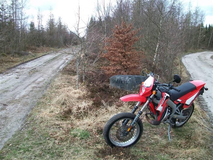 Gilera SMT billede 6