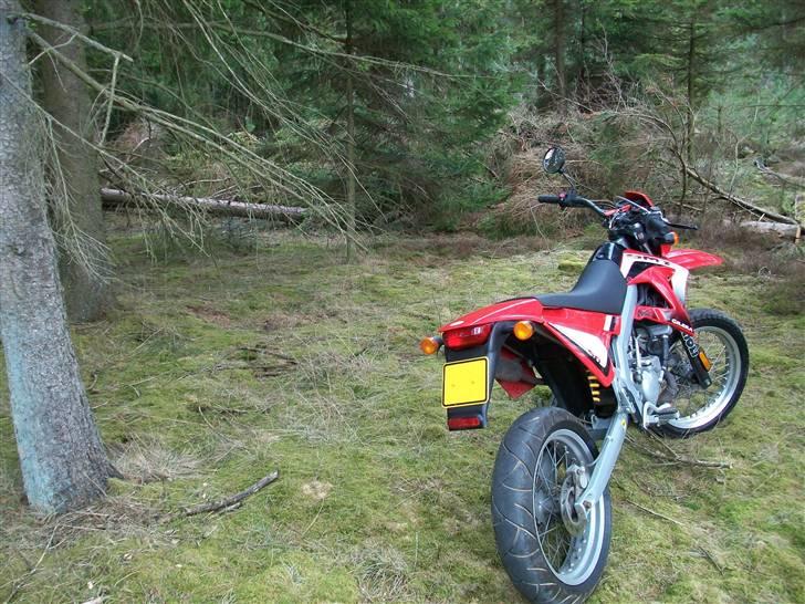 Gilera SMT billede 10