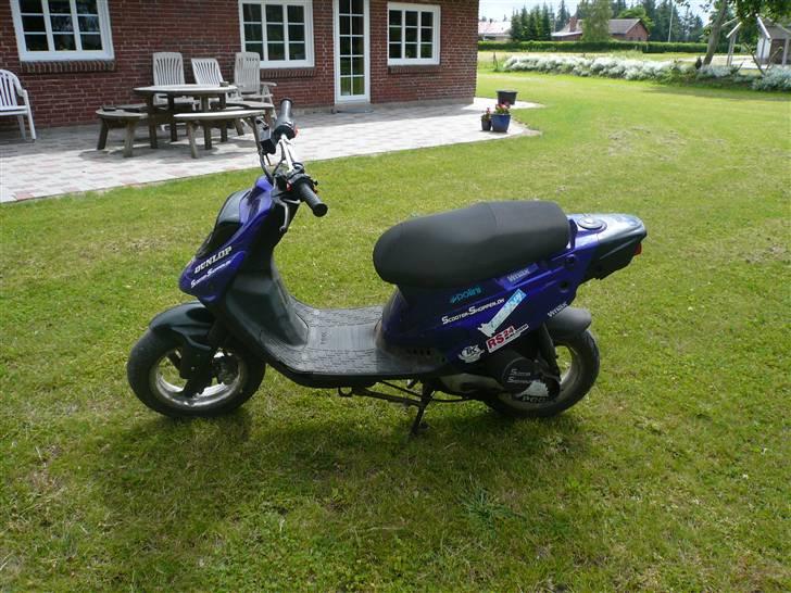 PGO hot 50 Solgt billede 6