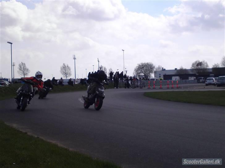 Gilera Stalker - S-Line/Quattro - Træf 7000 2010 billede 2