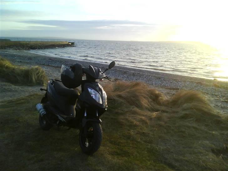 Giantco Stealth 90c Bambus Rakket billede 10