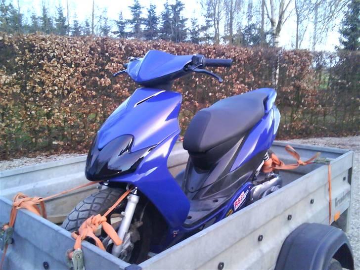 Giantco Stealth 90c Bambus Rakket - min ny indkøbte jog r - d-18/4 2010    en god dag :P billede 11