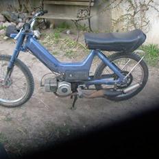 Puch maxi