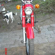 Honda CD50