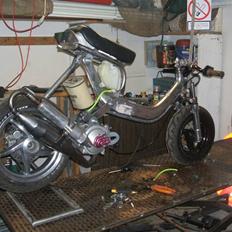 Suzuki Fz50 -LC-DD-SOLGT