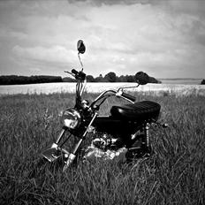 Skyteam Dax - 125cc Motorcykel   