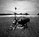 Skyteam Dax - 125cc Motorcykel   