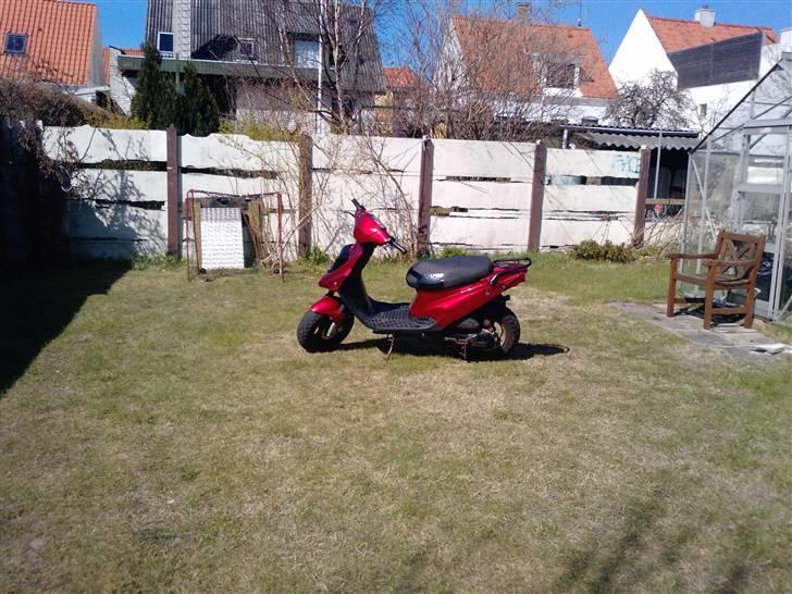 PGO hot 50 > SOLGT< billede 6