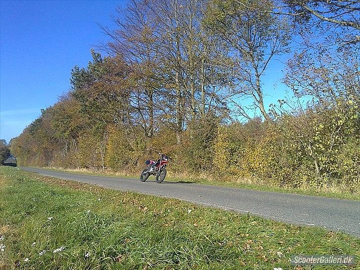 Derbi Senda SM X-Treme Taget af panserne- :( billede 13