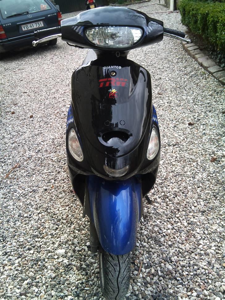 Giantco Sprint SOLGT billede 2