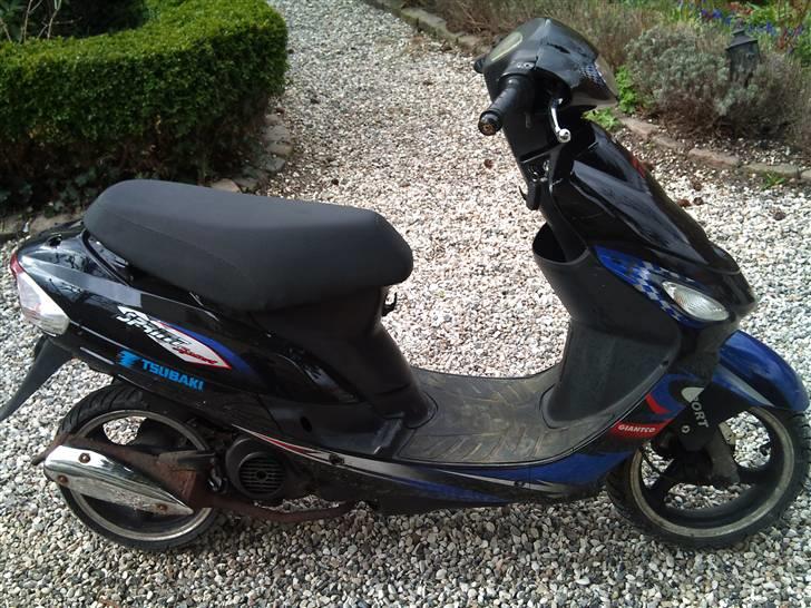 Giantco Sprint SOLGT billede 3