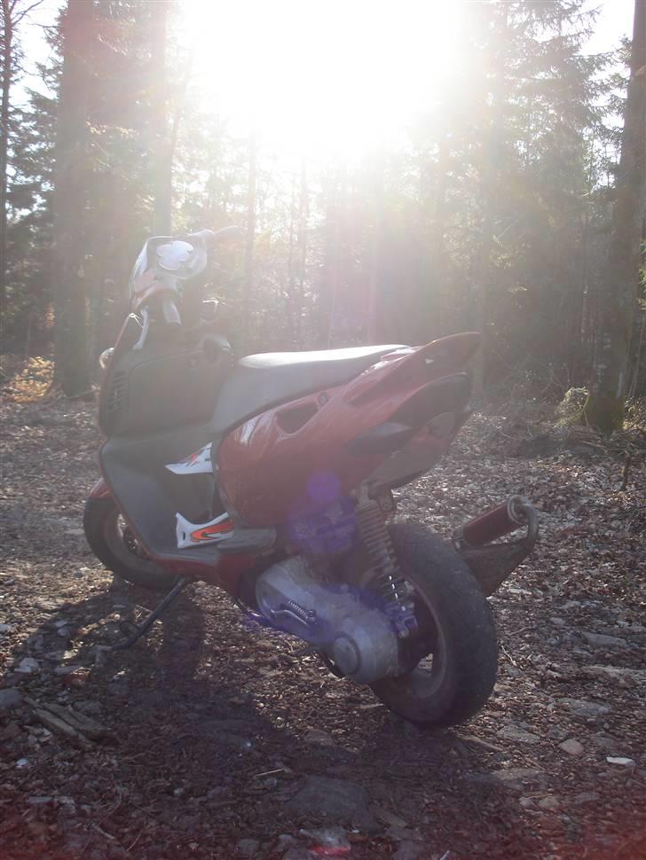 Aprilia Sonic billede 7