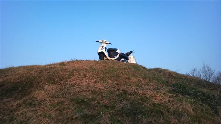 PGO White Magic - White Magic & Sonic billede 16