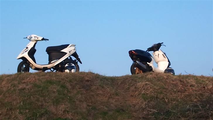 PGO White Magic - White Magic & Sonic billede 18