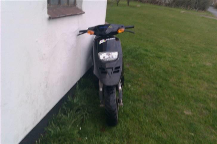 Piaggio Typhoon billede 5