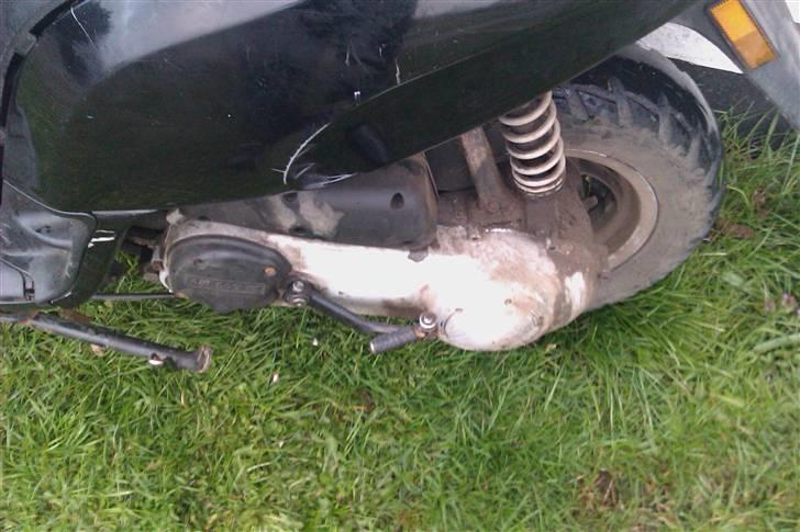 Piaggio Typhoon billede 6