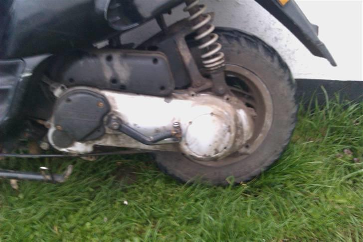 Piaggio Typhoon billede 7