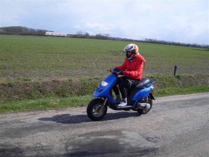 Piaggio TYFFE  - bettesøs på svinet billede 18