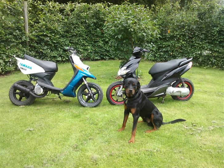 Yamaha Jog R SOLGT billede 7