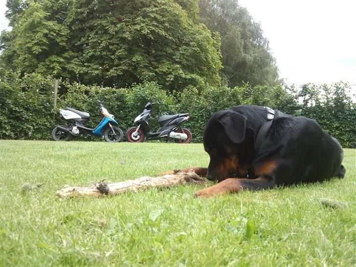 Yamaha Jog R SOLGT billede 8