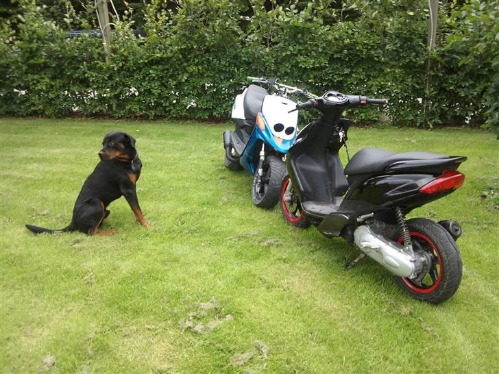 Yamaha Jog R SOLGT billede 10