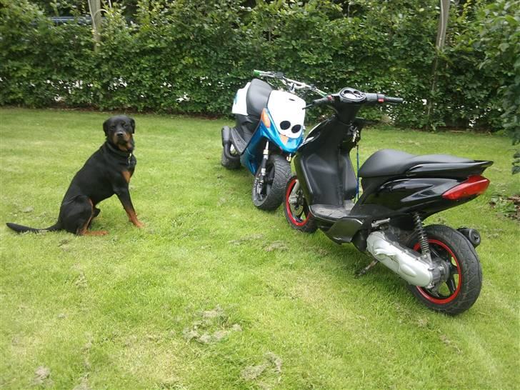 Yamaha Jog R SOLGT billede 12