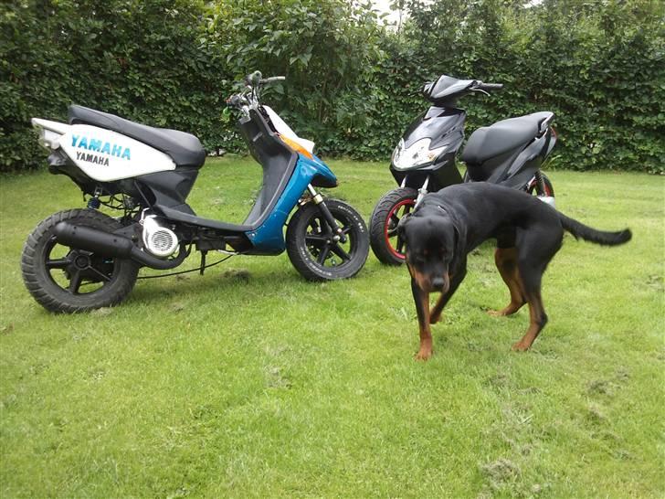 Yamaha Jog R SOLGT billede 15