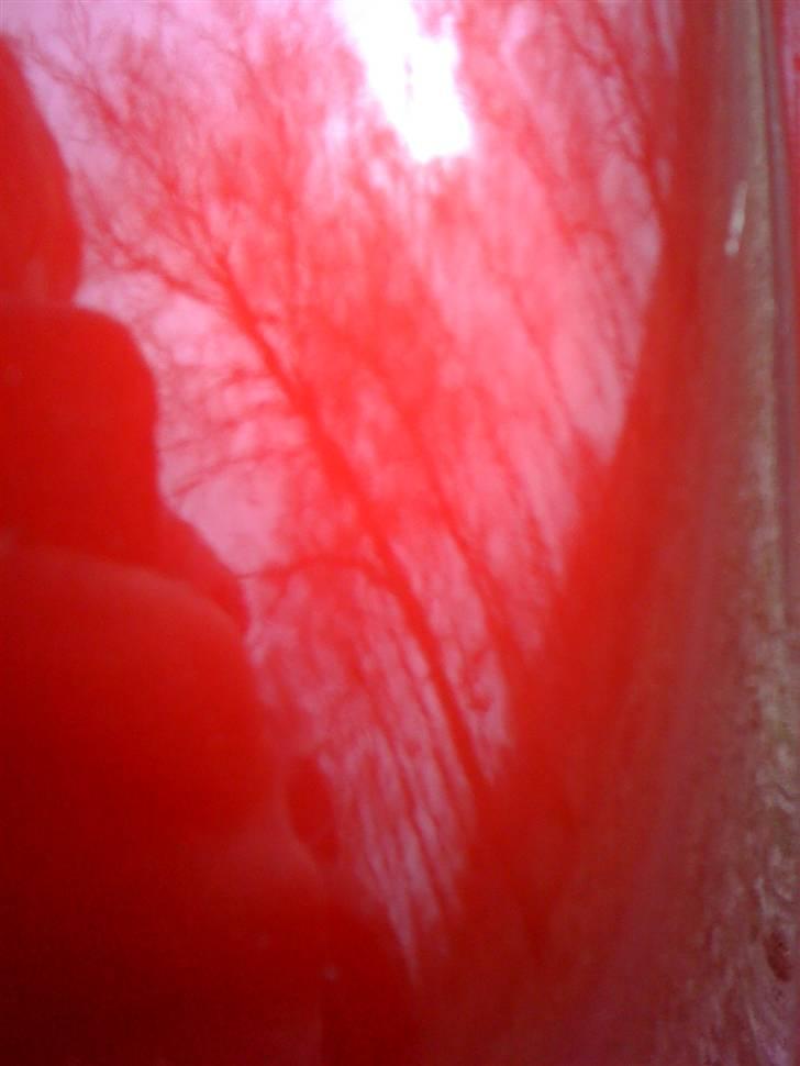 Gilera Stalker SOLGT! billede 9