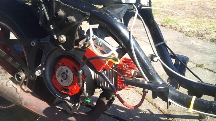 PGO hot / easy rider billede 7