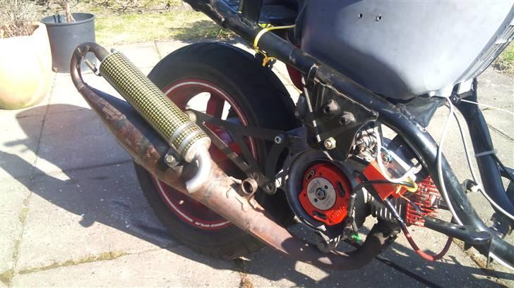 PGO hot / easy rider billede 8