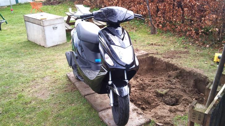 Giantco G-Buddy billede 1