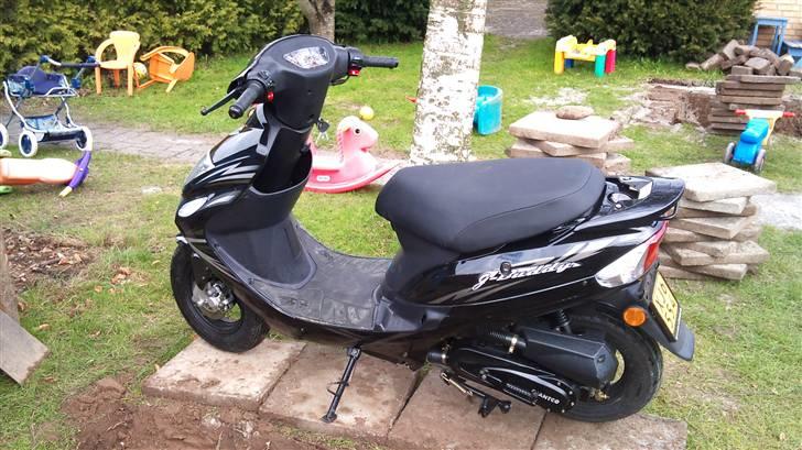 Giantco G-Buddy billede 5