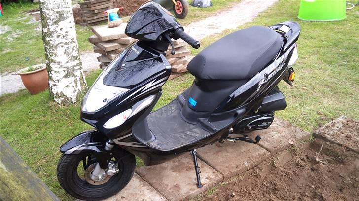 Giantco G-Buddy billede 6