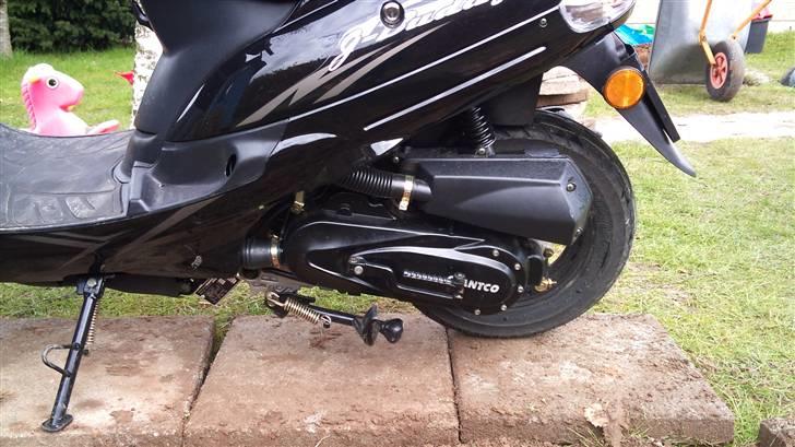 Giantco G-Buddy billede 7