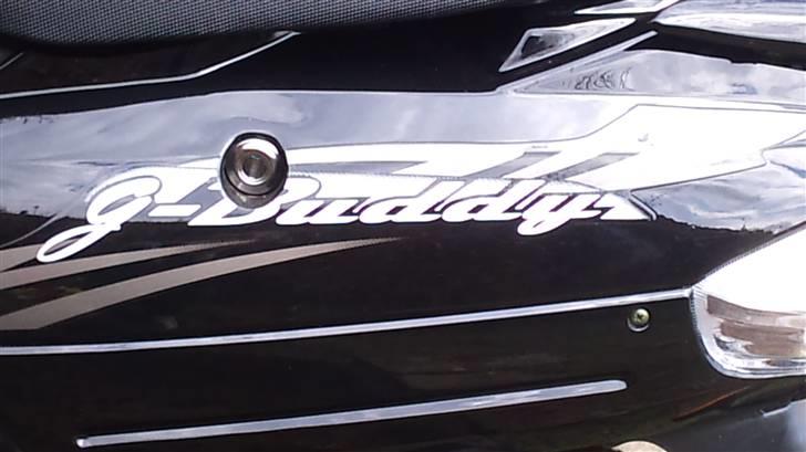 Giantco G-Buddy billede 8