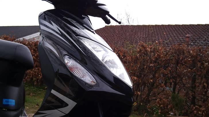 Giantco G-Buddy billede 14